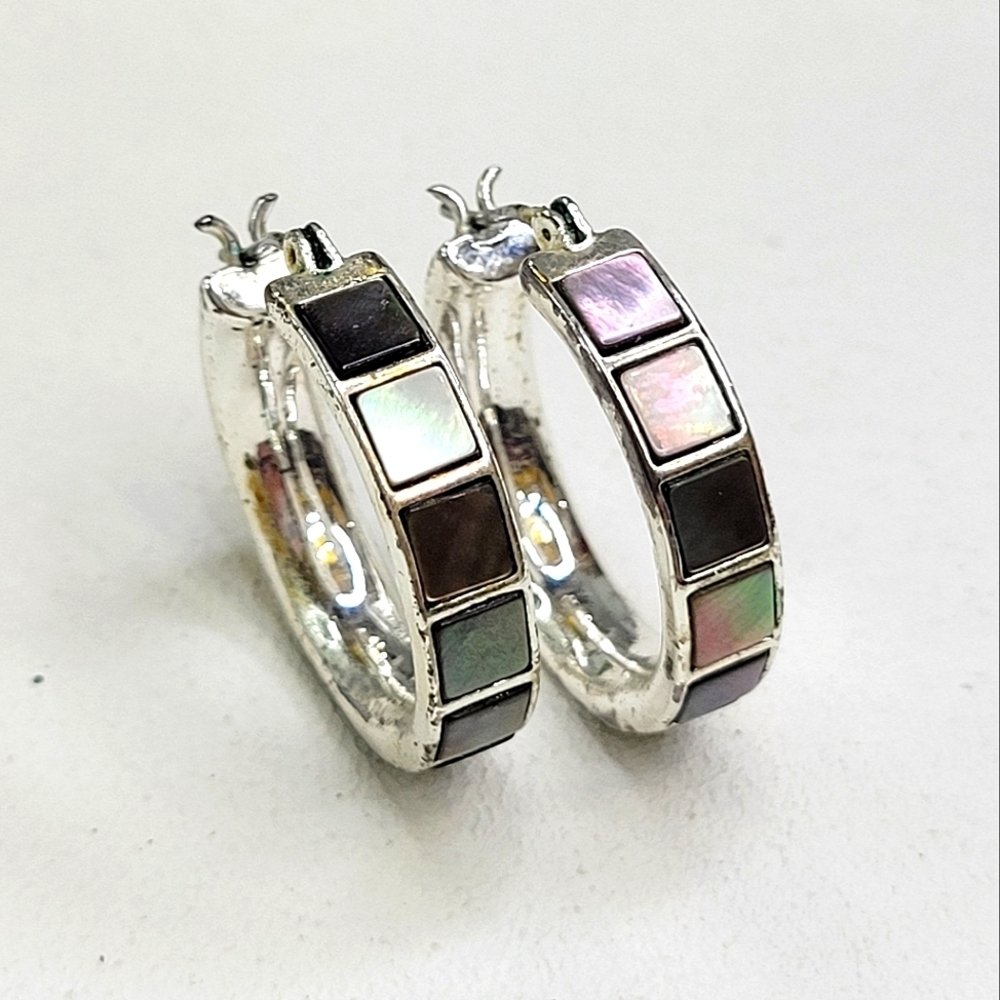 Stunning Vintage Silver Mother of Pearl Abalone All Around Hoop Earrings